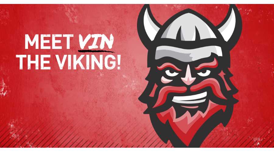 Vin the Viking