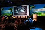 SDM10020180304--114.jpg