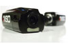 IP-based surveillance cameras