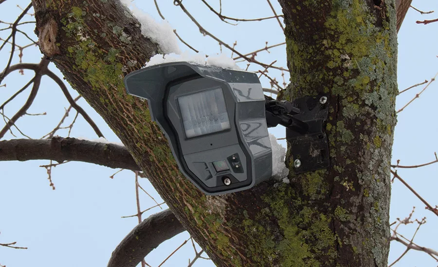 Outdoor security, laser detection systems