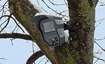 Outdoor security, laser detection systems 