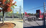 Electric Guard Dog; asset protection, detection, security systems
