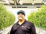 cannabis-security