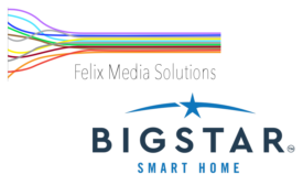 FMS Big Star Security Logo.png