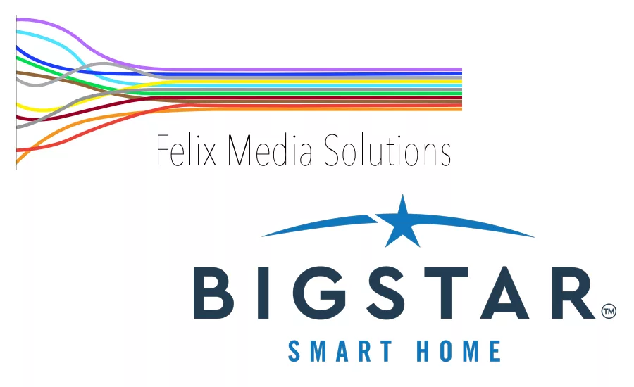 FMS Big Star Security Logo.png