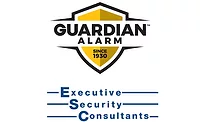 guardian-sdm.jpg guardian-sdm.jpg
