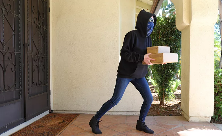 porch pirate
