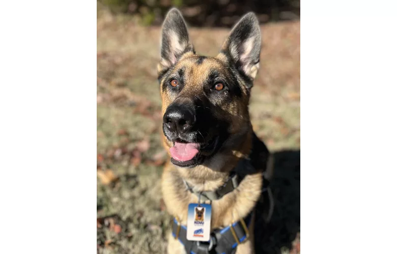 COPS Monitoring Kovu K9 Assistant