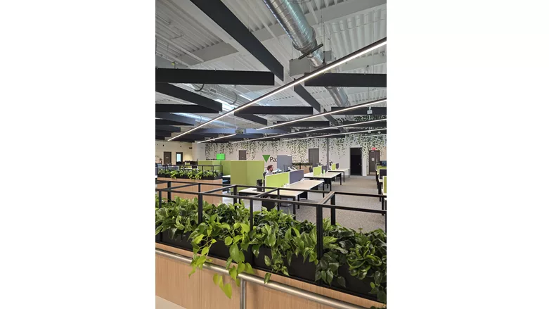 The open-plan workspace includes hanging sound-proofing insulation to help keep conversations private and allow for more collaboration.