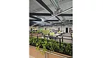The open-plan workspace includes hanging sound-proofing insulation to help keep conversations private and allow for more collaboration.