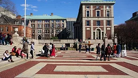 university