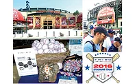 TRI-ED’S 2016 Stadium Tours Wrap up TRI-ED’S 2016 Stadium Tours Wrap up