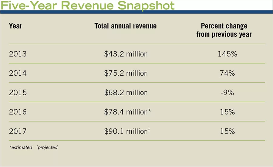 Five-Year Revenue Snapshot