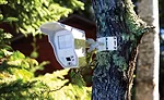 The Dragonfly wire-free camera uses 900 Megahertz rather than Wi-Fi