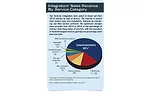 Integrators’ Sales Revenue By Service Category
