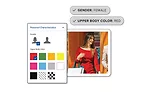 Appearance Search_Search by Physical Description_UI
