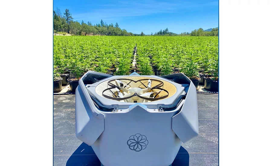 Sunflower Labs