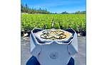 Sunflower Labs