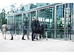 MAIN GettyImages-171156689