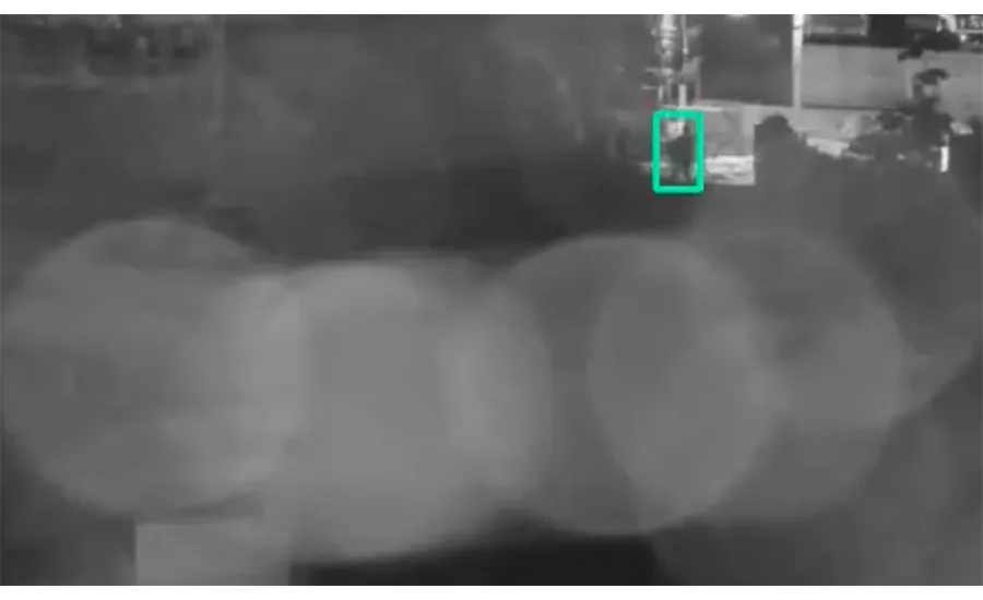 RESURE Camect Detection Through Spiderweb