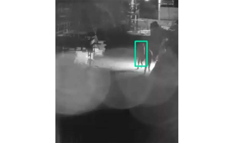 RESURE Camect Detection Through Spiderweb at Night Distance