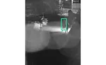 RESURE Camect Detection Through Spiderweb at Night Distance