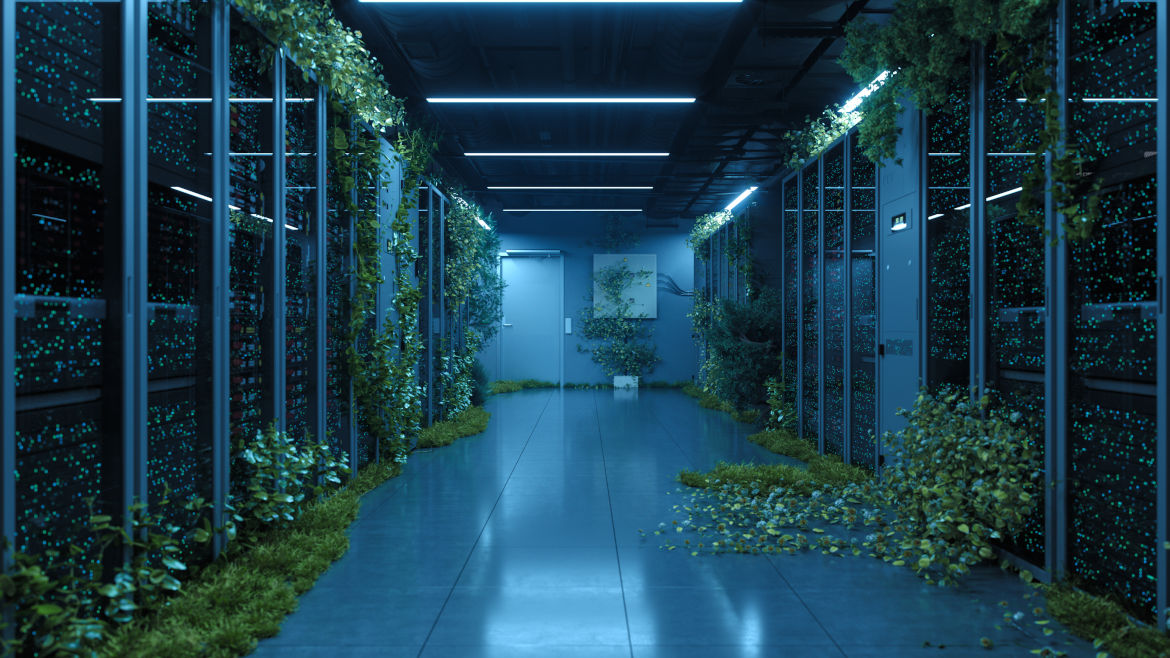 Sustainability
