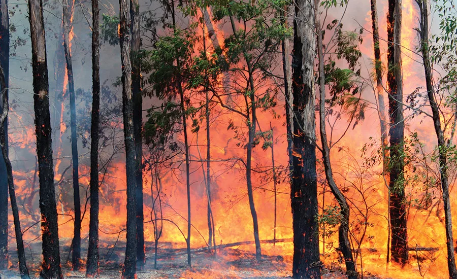 Alberta Wildfires