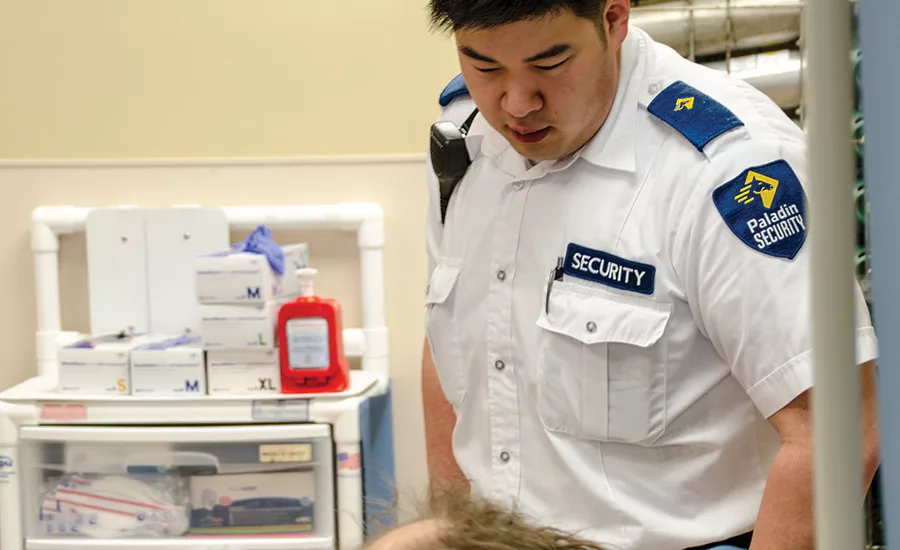 Lower Mainland Integrated Protection Services