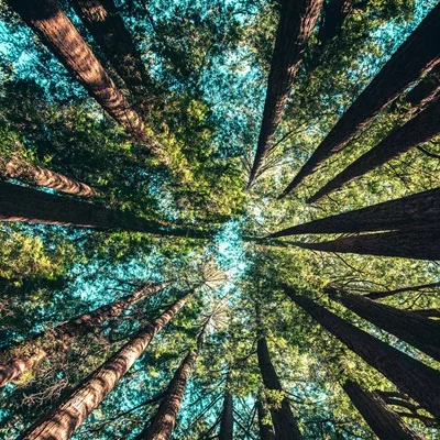 2026 Sustainability Podcast