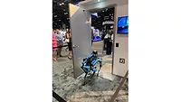 Image of Spot in an entryway.
