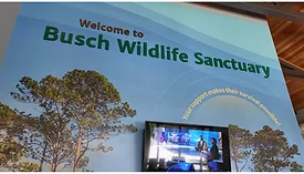 Image of the Busch Wildlife Sanctuary.