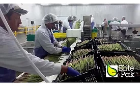 Elite Pak Asparagus FacilityWB.jpg