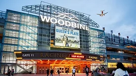image of Woodbine