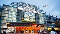 image of Woodbine