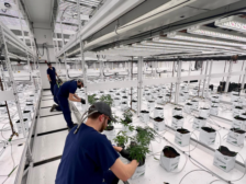 image of Highlands Grow operations
