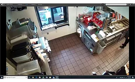 Integrated surveillance - no caption.jpg