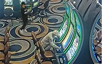 image of ZeroEyes AI gun detection used at the Casino