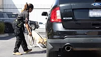 Woman With Police Dog.jpg Woman With Police Dog