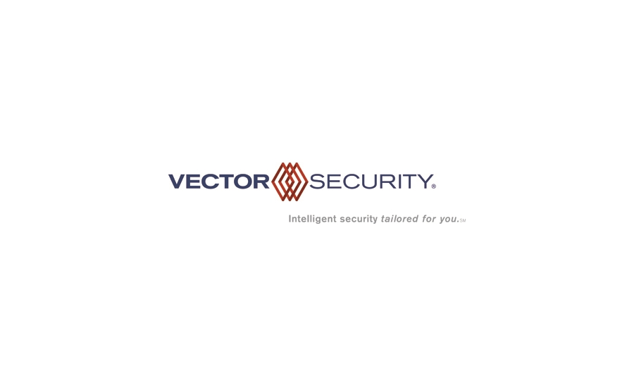 Vector web