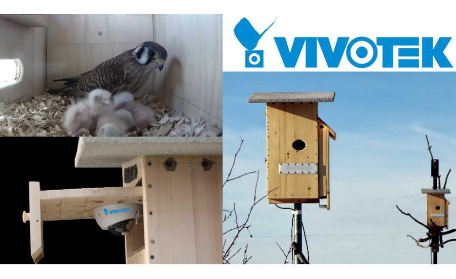 falcon nesting boxes