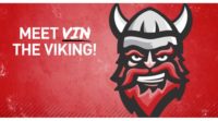 Vin the Viking