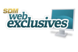 Web exclusives w/Niscayah logo