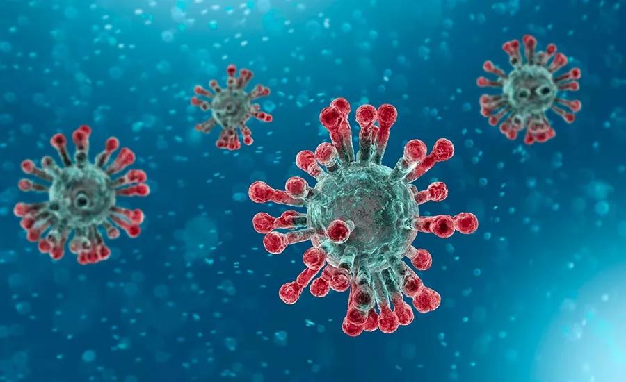 coronavirus