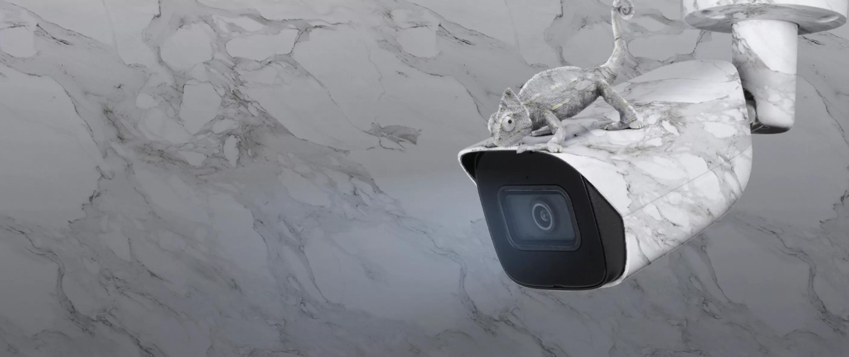 IC Realtime Camera