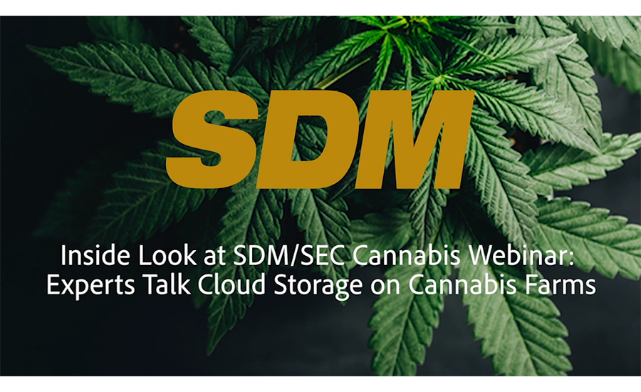 SDM cannabis webinar