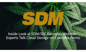 SDM cannabis webinar