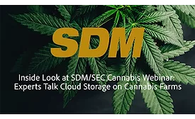 SDM cannabis webinar