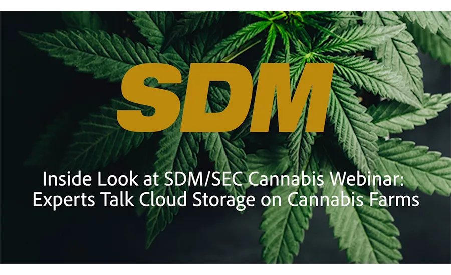 SDM cannabis webinar