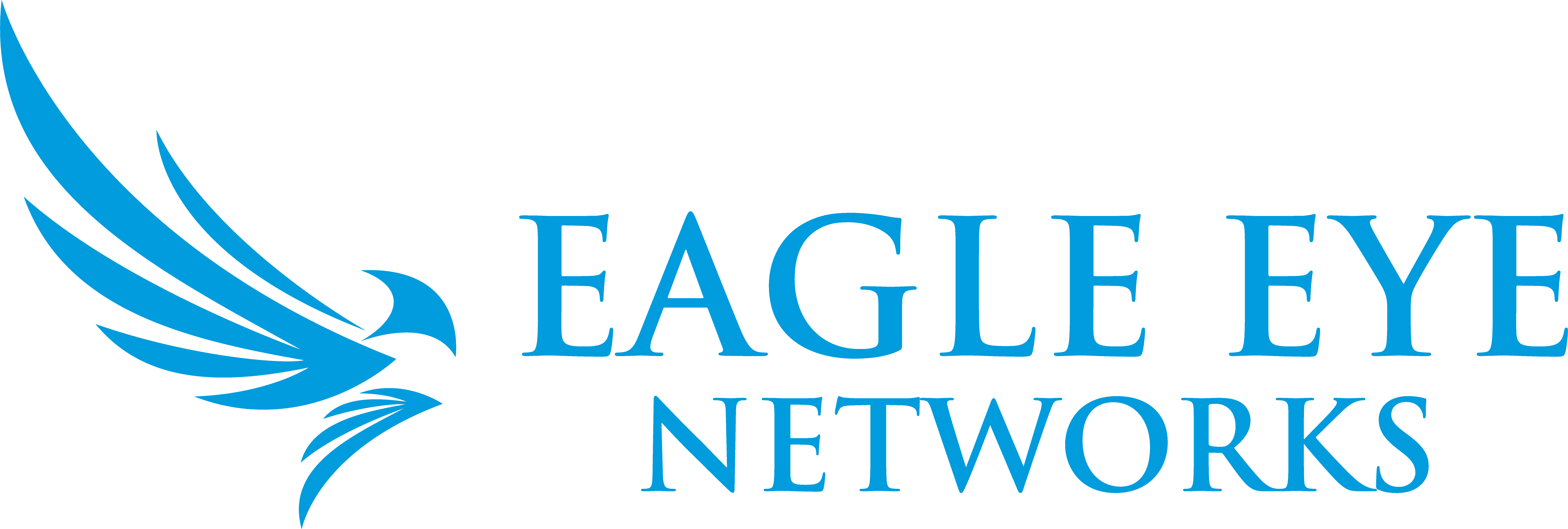 Eagle Eye Logo.png